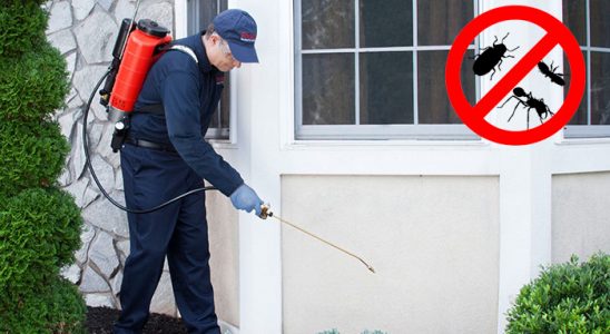 Mithatpaşa Dezenfeksiyon böcek ilaçlama ve haşere kontrolü — ilaclama-tr.com